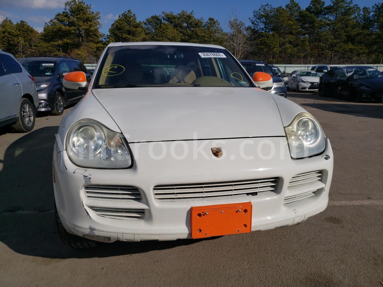 WP1AB29P06LA65205