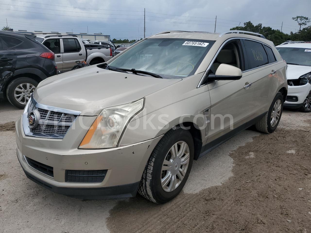 3GYFNAEY6AS550629